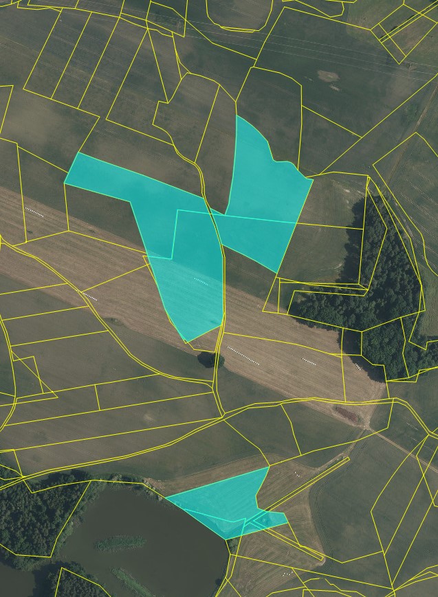 639099425480820307_KOLENCE - 3.jpg